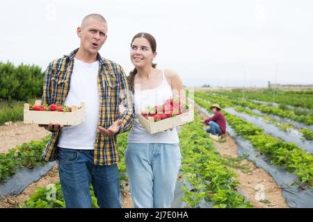 Couple tenant des caisses avec fraise sur le terrain Banque D'Images