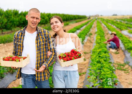 Couple tenant des caisses avec fraise sur le terrain Banque D'Images