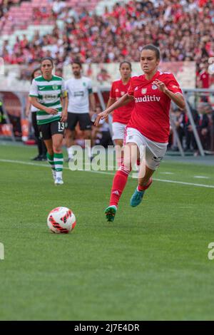 10 Tour De Terrain De Foot En Km Lisbonne, 10/08/2022 - Sport Lisboa e Benfica a accueilli Rio Ave