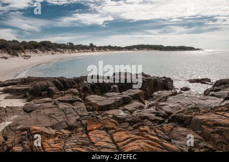 Une plage isolée à Little Musselroe Bay, au Cap Portland, face au détroit de Bass, dans le nord-est de la Tasmanie, en Australie Banque D'Images