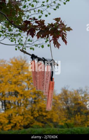 Je souhaite de bons messages et inspirants suspendus à un érable à l'automne, Ontario, Canada - stock Photography Banque D'Images