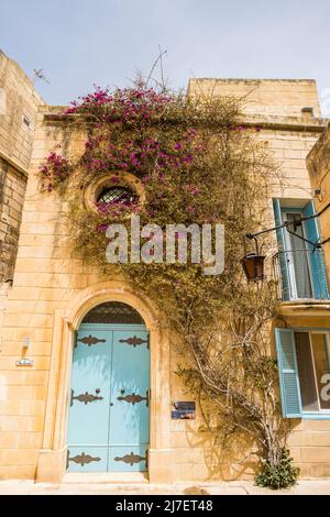 Des fleurs violettes poussent dans une maison avec des volets et des portes colorés à Mdina, Malte, photographiée en avril 2022. Banque D'Images