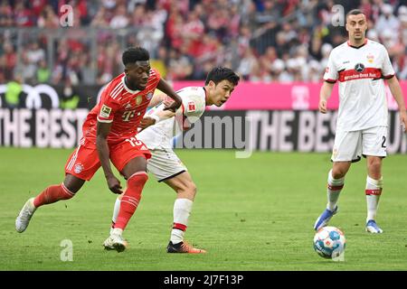 PAS DE VENTES AU JAPON! Wataru ENDO (VFB Stuttgart), action, duels contre Alphonso DAVIES (FC Bayern Munich), football 1. Saison Bundesliga 2021/2022, 33.match, matchday33. FC Bayern Munich-VFB Stuttgart 2-2 le 8th mai 2022, ALLIANZARENA Munich. Banque D'Images