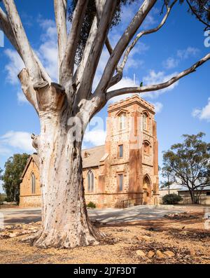 Grand eucalyptus devant l'église anglicane St John's Northam des années 1890 Banque D'Images