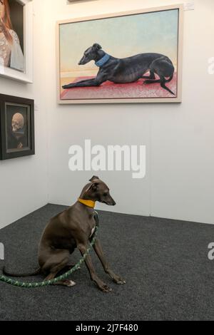 Le Greyhound italien visite la foire d'art abordable de Hampstead Heath Londres 7/5/2022 Banque D'Images