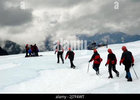 Les touristes font de la randonnée sur le glacier Mendenhall, près de Juneau. Banque D'Images