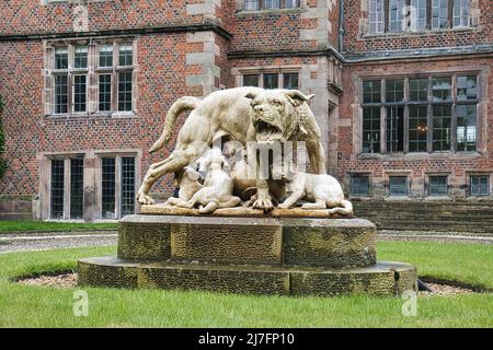 Statue de mastiff et de pups du Dorfold Hall Banque D'Images