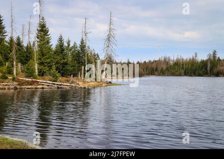 Lac dans la forêt des montagnes du Harz en Basse-Saxe, Allemagne. Réservoir d'eau historique d'Oderteich près de Sankt Andreasberg. Banque D'Images