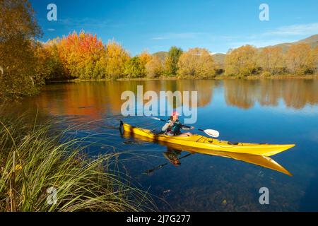 Kayak et réflexions automnales dans l'étang de Kellands, près de Twizel, district de Mackenzie, North Otago, South Island, Nouvelle-Zélande (lancement du modèle) Banque D'Images