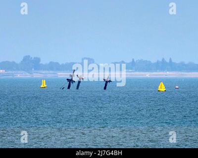 Sheerness, Kent, Royaume-Uni. 9th mai 2022. La BBC London fait aujourd'hui état de la destination touristique la plus improbable de Londres - le naufrage SS Richard Montgomery dans la Tamise à 1,5 miles de Sheerness, Kent - qui devrait avoir ses mâts enlevés en juin. L'épave photographiée à marée basse cet après-midi. Crédit : James Bell/Alay Live News Banque D'Images