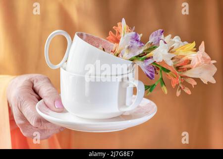 Une vieille femme tient une tasse de fleurs de printemps, gros plan, macro photographie Banque D'Images