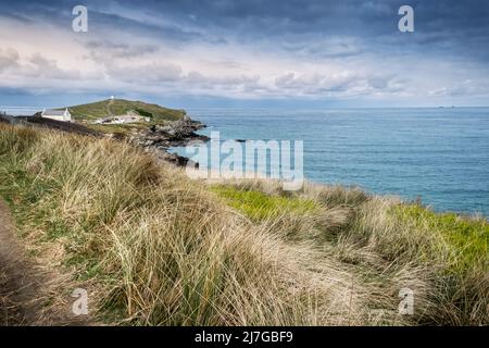 Herbe de maram Ammophila croissant le long de la côte rugueuse menant à Towan Head sur la côte nord de Cornwall, en Cornouailles, au Royaume-Uni. Banque D'Images