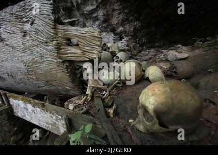 Crânes humains au site traditionnel de sépulture dans le village de Kete Kesu, au nord de Toraja, au sud de Sulawesi, en Indonésie. Banque D'Images