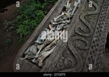 Sculpture décorative sur sarcophage en bois au site traditionnel de sépulture dans le village de Kete Kesu, au nord de Toraja, au sud de Sulawesi, en Indonésie. Banque D'Images