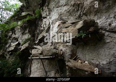 Sarcophage suspendu à un site d'enfouissement traditionnel dans le village de Kete Kesu, au nord de Toraja, au sud de Sulawesi, en Indonésie. Banque D'Images