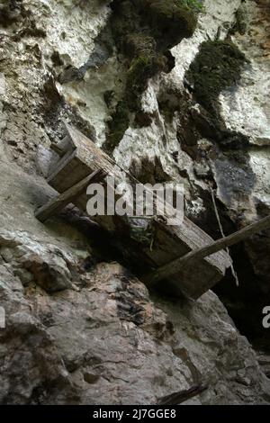 Sarcophage suspendu à un site d'enfouissement traditionnel dans le village de Kete Kesu, au nord de Toraja, au sud de Sulawesi, en Indonésie. Banque D'Images