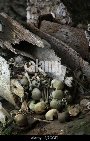 Lieu de sépulture traditionnel dans le village de Kete Kesu, au nord de Toraja, au sud de Sulawesi, en Indonésie. Banque D'Images