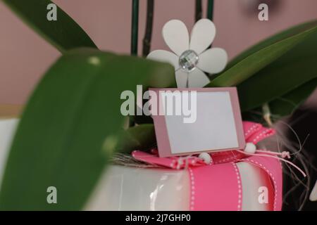 bouquet de fleurs dans un pot avec une note pour un cadeau Banque D'Images
