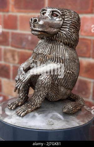 L'une des mini statues d'animaux de Shakespeare joue autour du centre-ville de Prescot, qui abrite le nouveau théâtre Shakespeare du Nord. Un singe. Banque D'Images