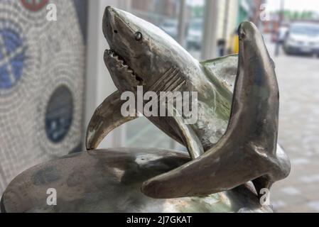 L'une des mini statues d'animaux de Shakespeare joue autour du centre-ville de Prescot, qui abrite le nouveau théâtre Shakespeare du Nord. Un requin. Banque D'Images