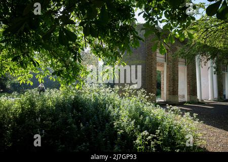 Un utilisateur de parc se promène sous le feuillage de châtaignes, près des piliers du portique, le seul vestige d'une grande maison qui se trouvait au 170 Denmark Hill, formant maintenant une caractéristique architecturale dans l'espace vert public de Ruskin Park à Lambeth, le 6th mai 2022, dans le sud de Londres, en Angleterre. Banque D'Images