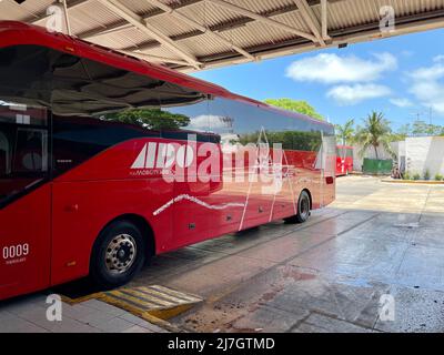Cancun, Mexique - 7 mai 2022: Bus rouge de la compagnie mexicaine ADO - Autobuses de Oriente. ADO dessert à peu près la moitié est du pays. Banque D'Images