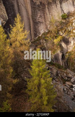 Belle image de paysage d'automne des bois de forêt autour de Holme est tombé dans Lake District Banque D'Images