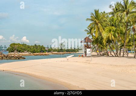 Palmiers à Siloso Beach sur l'île de Sentosa, Singapour Banque D'Images