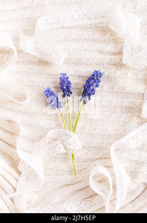 Trois brindilles aux petites fleurs violettes orgent les fleurs sur un arrière-plan délicat en tricot pastel Banque D'Images