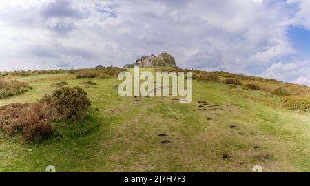 La promenade jusqu'à Haytor sur Dartmoor Banque D'Images