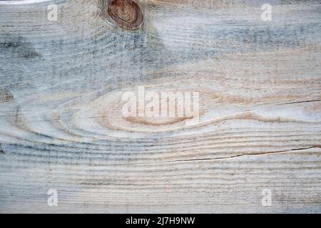 Texture de l'arbre de coupe. Un nœud sur un arrière-plan en bois coupé. Arrière-plan des arbres coupés. Banque D'Images