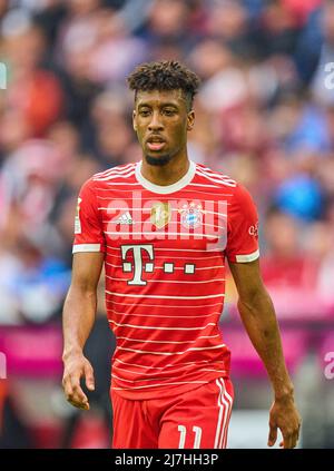 Munich, Allemagne, 08/05/2022, Kingsley Coman, FCB 11 dans le match FC BAYERN MÜNCHEN - VFB STUTTGART 2-2 1.Ligue allemande de football le 08 mai 2022 à Munich, Allemagne. Saison 2021/2022, jour de match 33, 1.Bundesliga, Muenchen, 33.Spieltag. FCB, © Peter Schatz / Alamy Live News - LA RÉGLEMENTATION DFL INTERDIT TOUTE UTILISATION DE PHOTOGRAPHIES comme SÉQUENCES D'IMAGES et/ou QUASI-VIDÉO - Banque D'Images