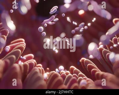 Usines d'intestin de microbiome et microbiote. Santé intestinale 3D rendu. Microvilli avec des usines dans l'intestin Banque D'Images