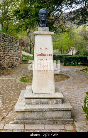 Poza de la Sal, Espagne - 9 mai 2022 : buste du naturiste espagnol Docteur Felix Rodriguez de la Fuente à Poza de la Sal, Burgos, Espagne Banque D'Images