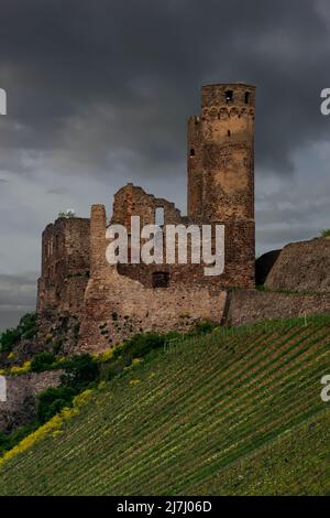 Château d'Ehrenfels sur les rives du Rhin moyen en Allemagne Banque D'Images