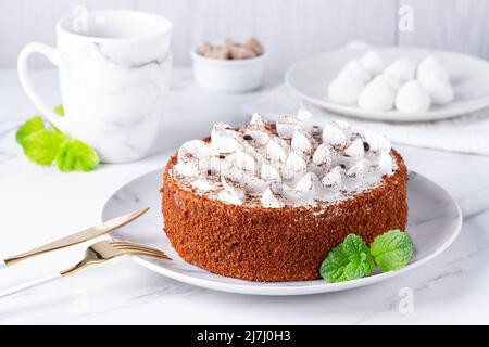 Parfait gâteau de tiramisu maison arrosé de poudre de cacao sur l'assiette Banque D'Images