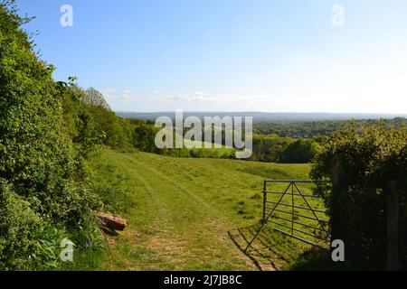 Vue sur le Weald de Kent depuis IDE Hill, l'un des plus hauts villages du Kent, près de Sevenoaks, lors d'une belle journée de printemps. Bois anciens et champs/haies Banque D'Images