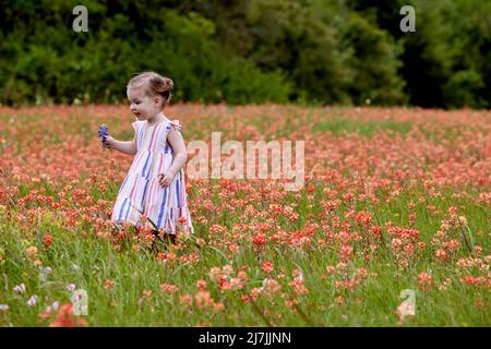 Jolie petite fille en picots marche à travers un champ de fleurs sauvages orange. Son visage est ecstatique et elle tient une fleur bleue. Banque D'Images