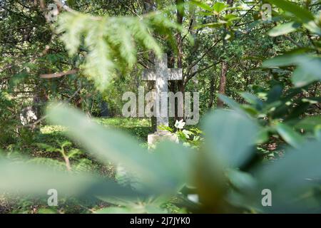 Stahnsdorf, Allemagne. 02nd mai 2022. Une croix de sépulture en pierre se dresse parmi les arbres dans le sud-ouest du Churchyard du Synode de Berlin. Le cimetière situé au sud-ouest de Berlin est le deuxième plus grand cimetière d'Allemagne, couvrant plus de 200 hectares. En raison de son caractère boisé et de ses nombreux sites historiques de sépulture, le chantier de Churcheryard du Sud-Ouest est une destination touristique populaire. Pour la préservation du site culturel et historique, une association de soutien a été créée en 2000. Credit: Soeren Stache/dpa/ZB/dpa/Alay Live News Banque D'Images