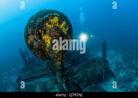 Plongée sous-marine au B-24 Liberator Bomber Wreck, île de vis, mer Méditerranée, Croatie Banque D'Images