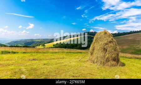 des montagnes de carpates sur le terrain herbacé sur la colline. magnifique paysage rural dans les montagnes de carpates par une journée ensoleillée d'été. nuages moelleux sur le ciel bleu en e Banque D'Images
