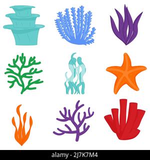 Set d'algues pour aquarium. Plantes marines, algues marines. Illustration de Vecteur