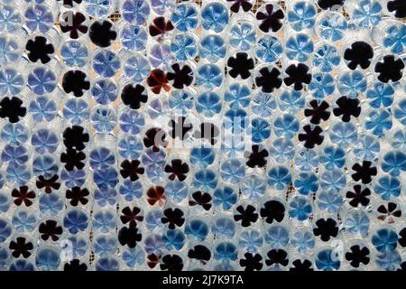 8-21-2015 Barcelone Espagne: Détail de la décoration avec des bouteilles d'eau comme plafond pour décorer la rue pendant les festivités de la Gracia nei Banque D'Images