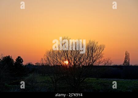 Coucher de soleil en hiver sur la rivière Stour avec arbre isolé Banque D'Images