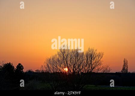 Coucher de soleil en hiver sur la rivière Stour avec arbre isolé Banque D'Images