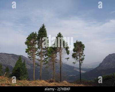 Le mont Saibi, situé dans le parc naturel d'Urkiola. Espagne. Banque D'Images