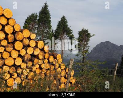 Le mont Saibi, situé dans le parc naturel d'Urkiola. Espagne. Banque D'Images