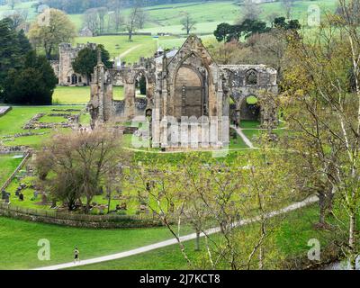 Feuillage printanier autour des ruines du Prieuré de Bolton dans la vallée de Wharfe Abbaye de Bolton dans le nord du Yorkshire de l'Angleterre Banque D'Images