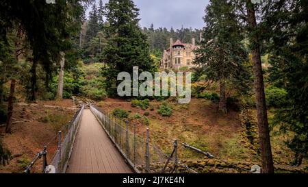 De l'autre côté du pont de fer au-dessus de Debden Burn jusqu'à la maison de Cragside, Northumberland, Angleterre Banque D'Images