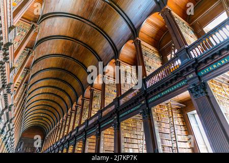 Long passage voûté avec clôtures et colonnes dans la bibliothèque publique légère de l'université avec collection de livres intéressants sur les étagères Banque D'Images